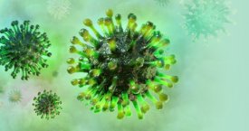 22 mokslo paneigti mitai apie koronavirusą