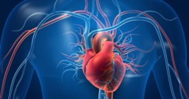 11 širdies ligų simptomų, kurių nereikėtų ignoruoti