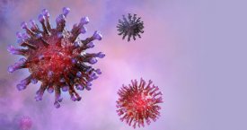Persirgus koronavirusu įgytas imunitetas prieš ligą – ne amžiams