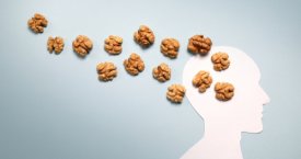 Maistas smegenims ir nervams: apie kai kurias reikalingas medžiagas galėjote nepagalvoti