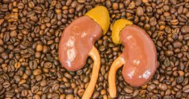 Mokslininkai nustebę: kava apsaugo inkstus nuo pažeidimų