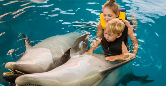 Delfinų terapija: keičia gyvenimus, moko reikšti jausmus