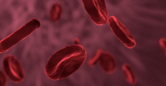 9 neįtikėtini faktai apie kraują